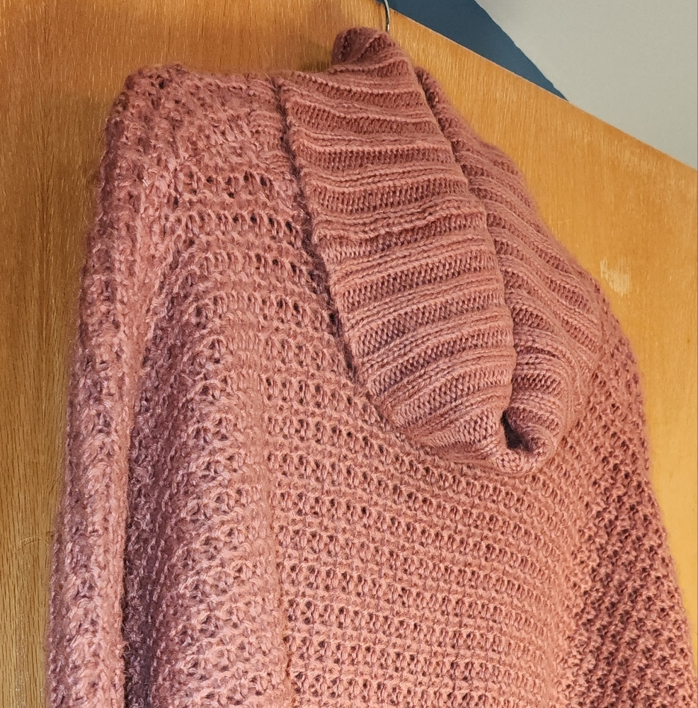 Express sweater size Large